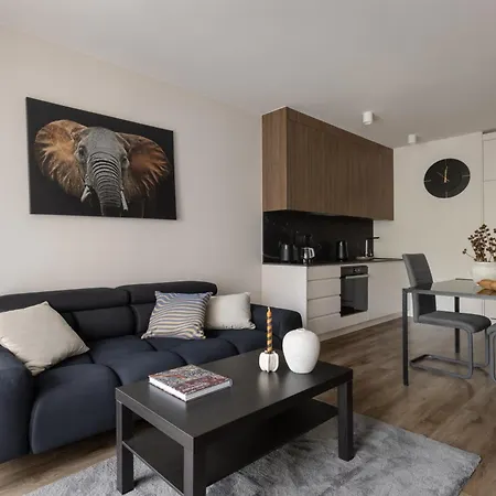 Scala By Moderna Profit- Lakowa 60g Apartment *